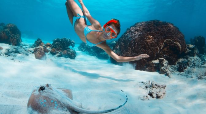 Marketing Guideline Reminders for All Agents!